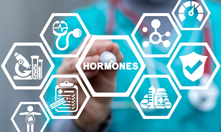 medicina-endocrinología- modulación-hormonal